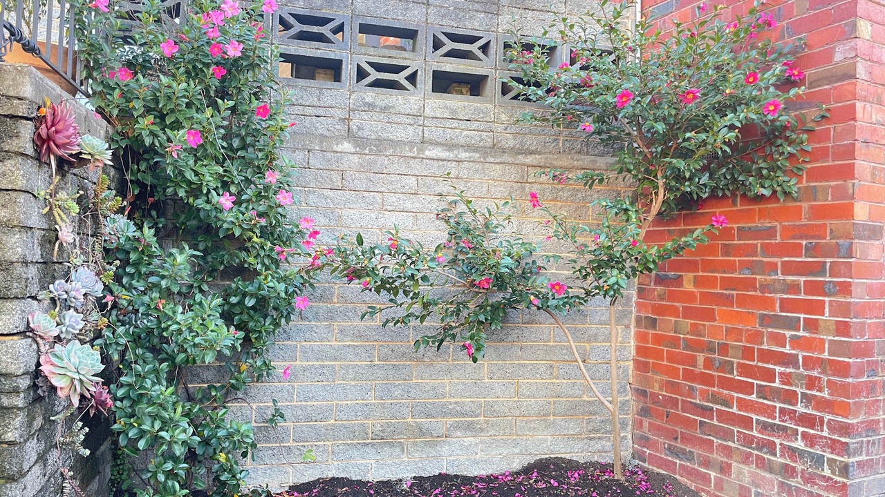 Photo of Outdoor in Glen Waverley