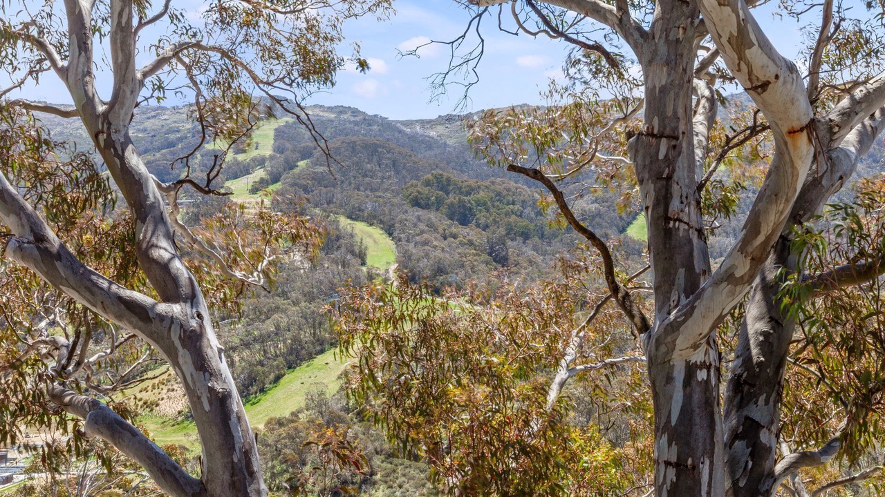 Photo of Others in Thredbo