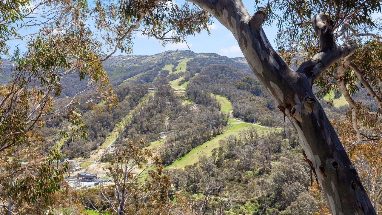 Photo of Others in Thredbo