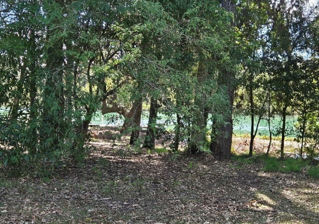 Photo of Others in Woollamia