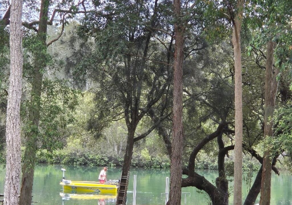 Photo of Others in Woollamia