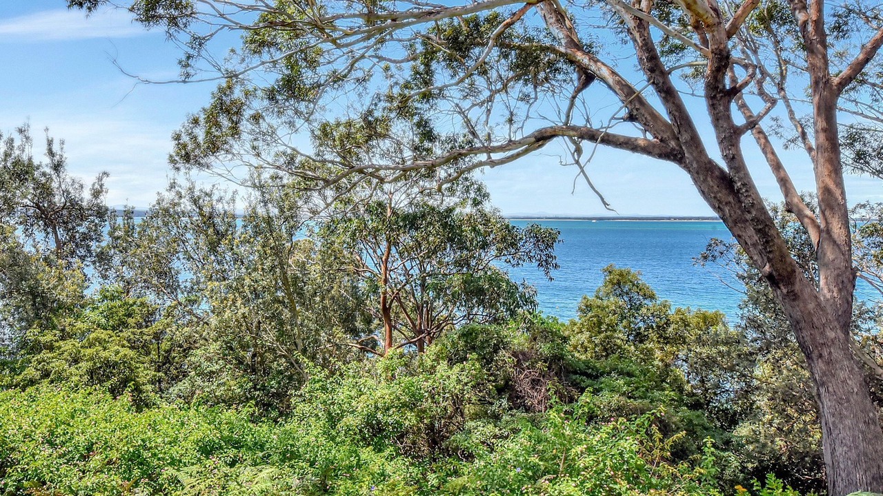 Photo of Others in Port Stephens Council