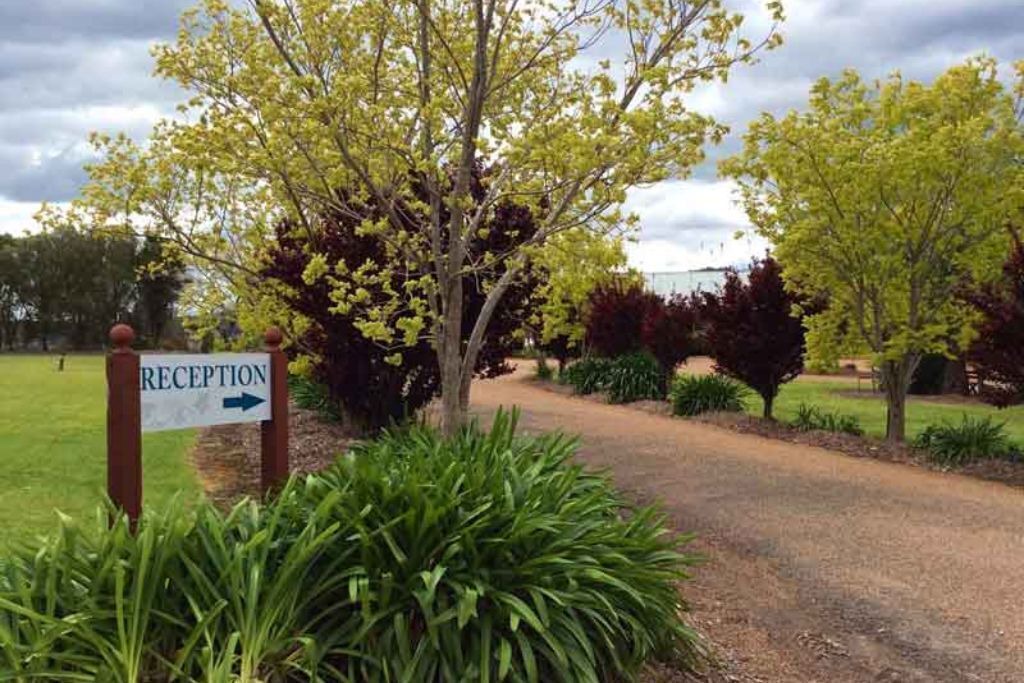 Photo of Outdoor in Lovedale