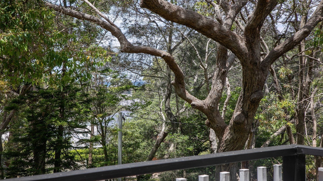 Photo of Patio Balcony in Pearl Beach