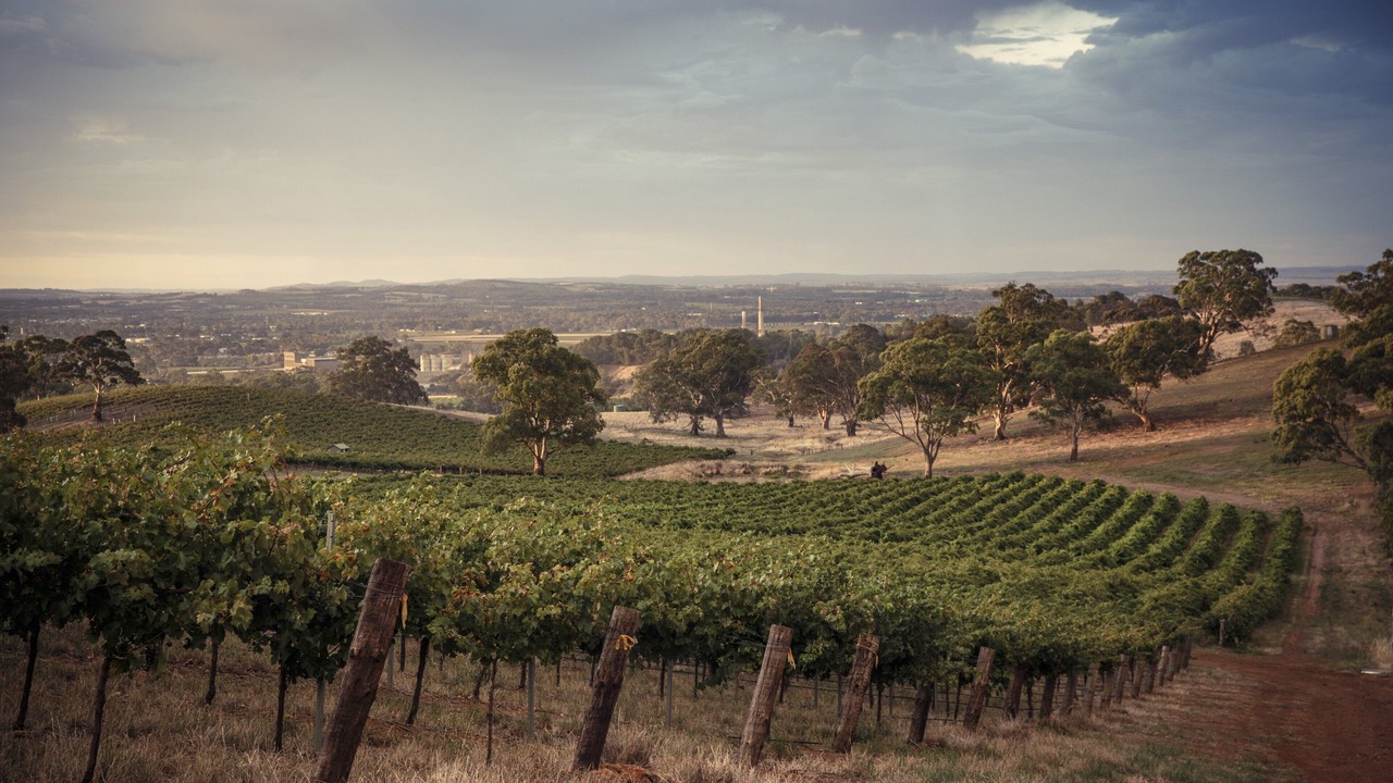 Photo of Others in Angaston