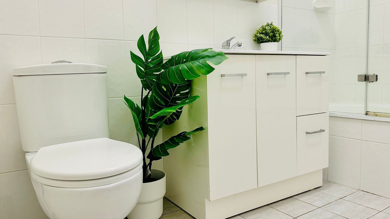 Photo of Bathroom in East Maitland