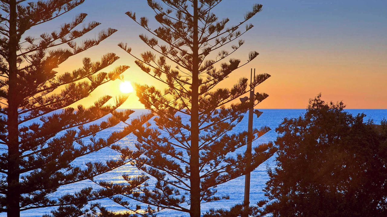 Photo of Others in Central Coast