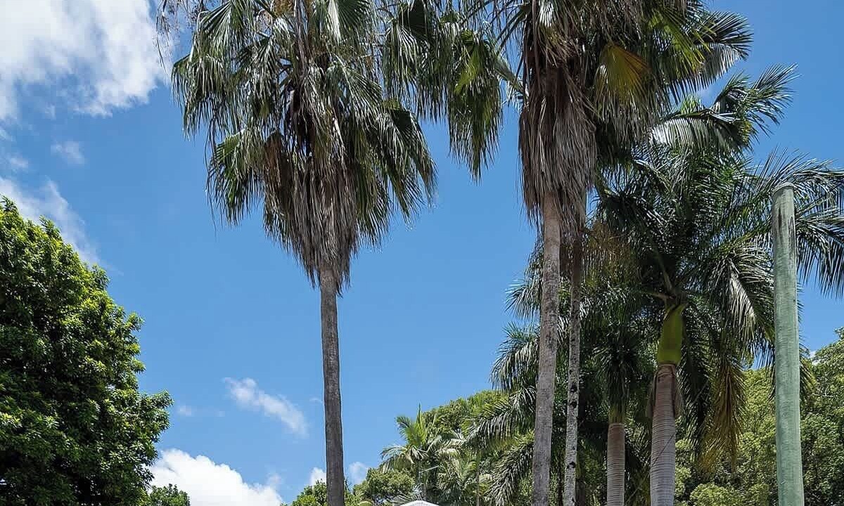 Photo of Outdoor in Bangalow
