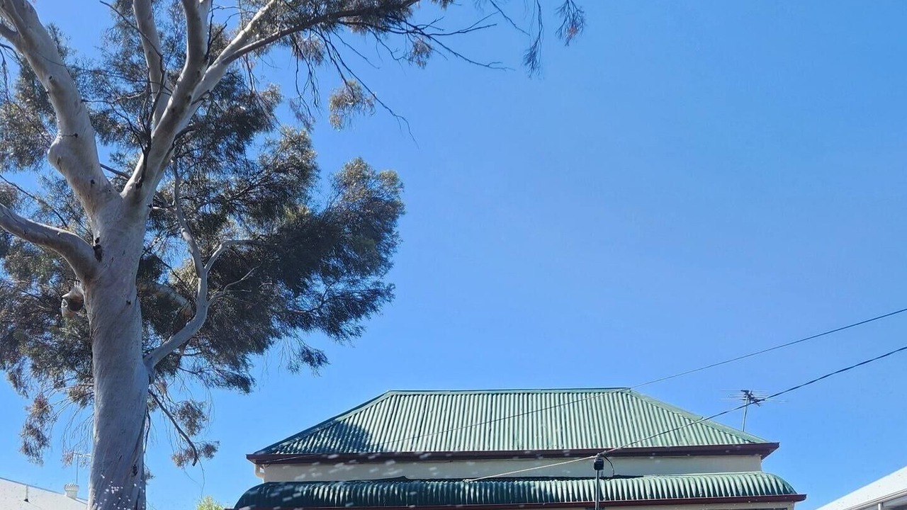 Photo of Outdoor in Mildura