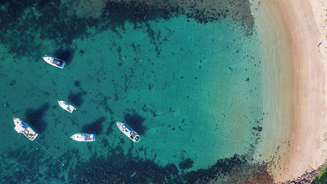 Photo of Others in Shellharbour