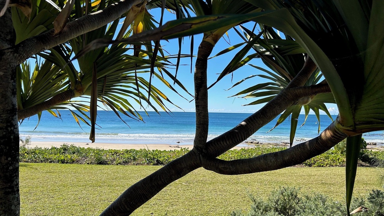 Photo of Others in Buderim