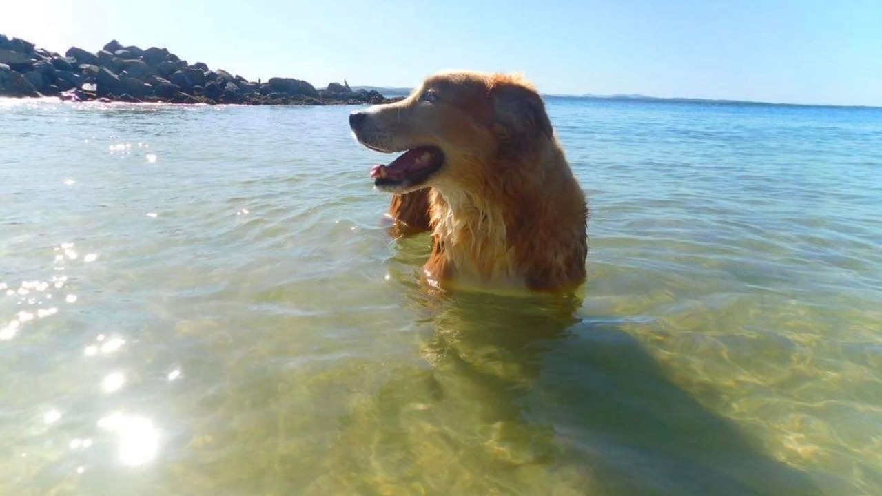 Photo of Others in Salamander Bay