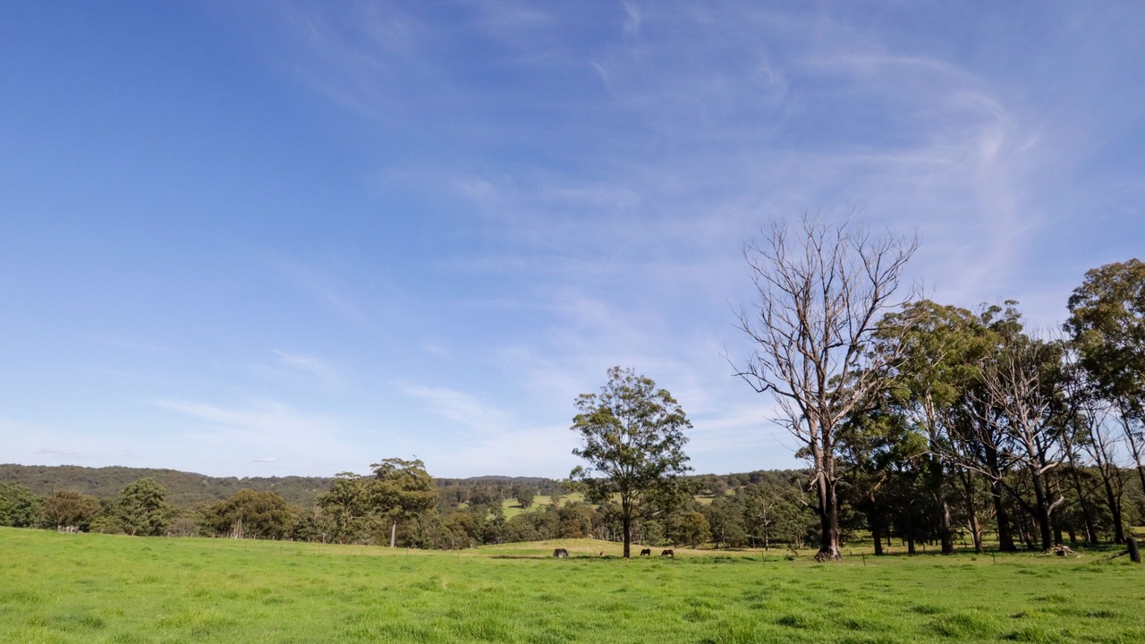 Photo of Others in Tenterfield