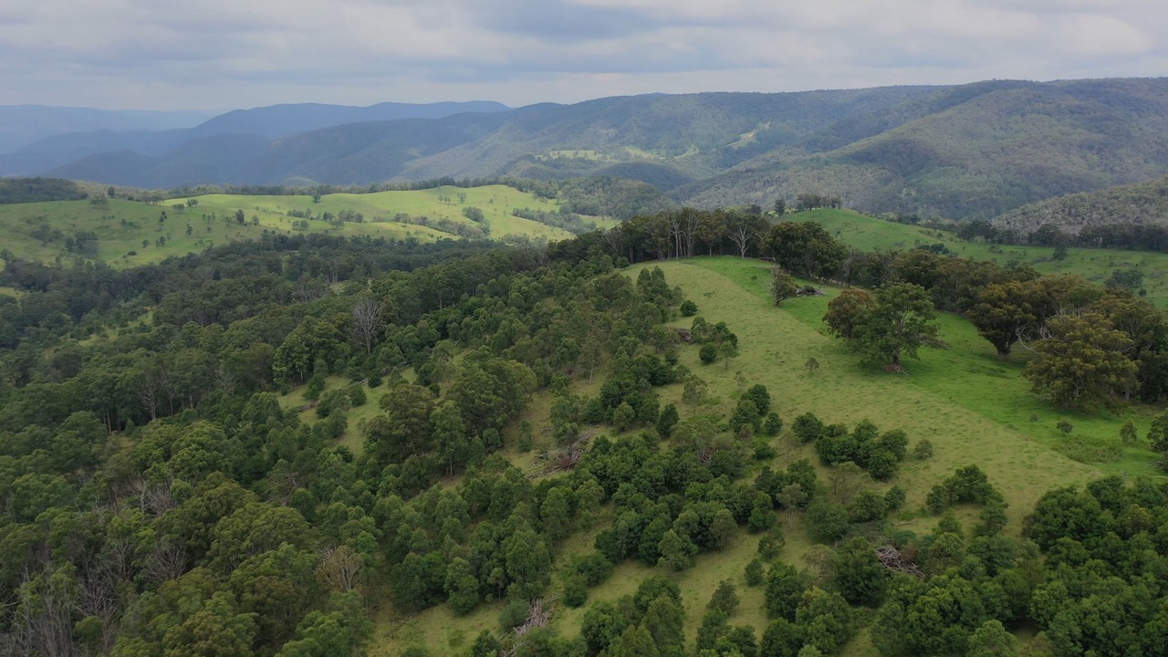 Photo of Others in Tenterfield