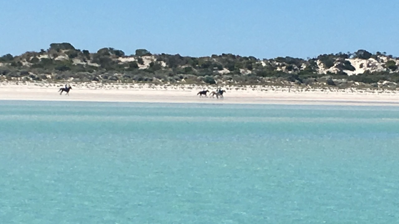 Photo of Others in Minlacowie