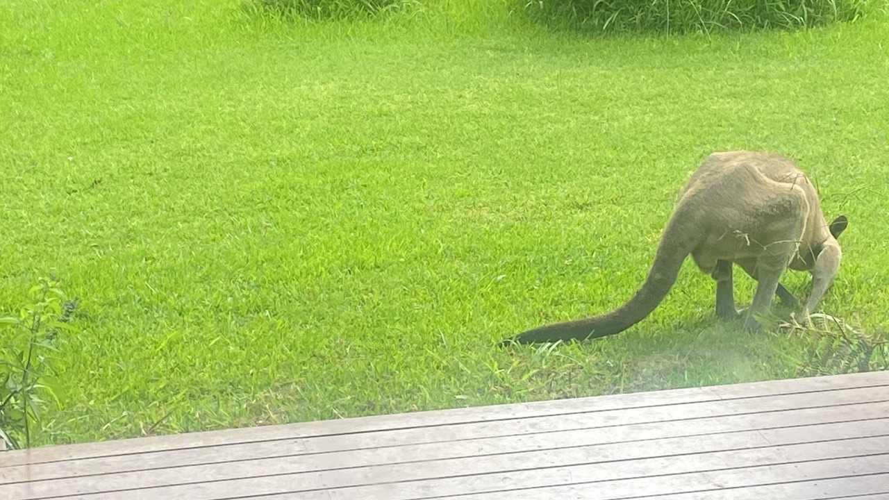 Photo of Others in South Kempsey