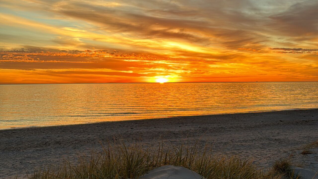 Photo of Others in Henley Beach