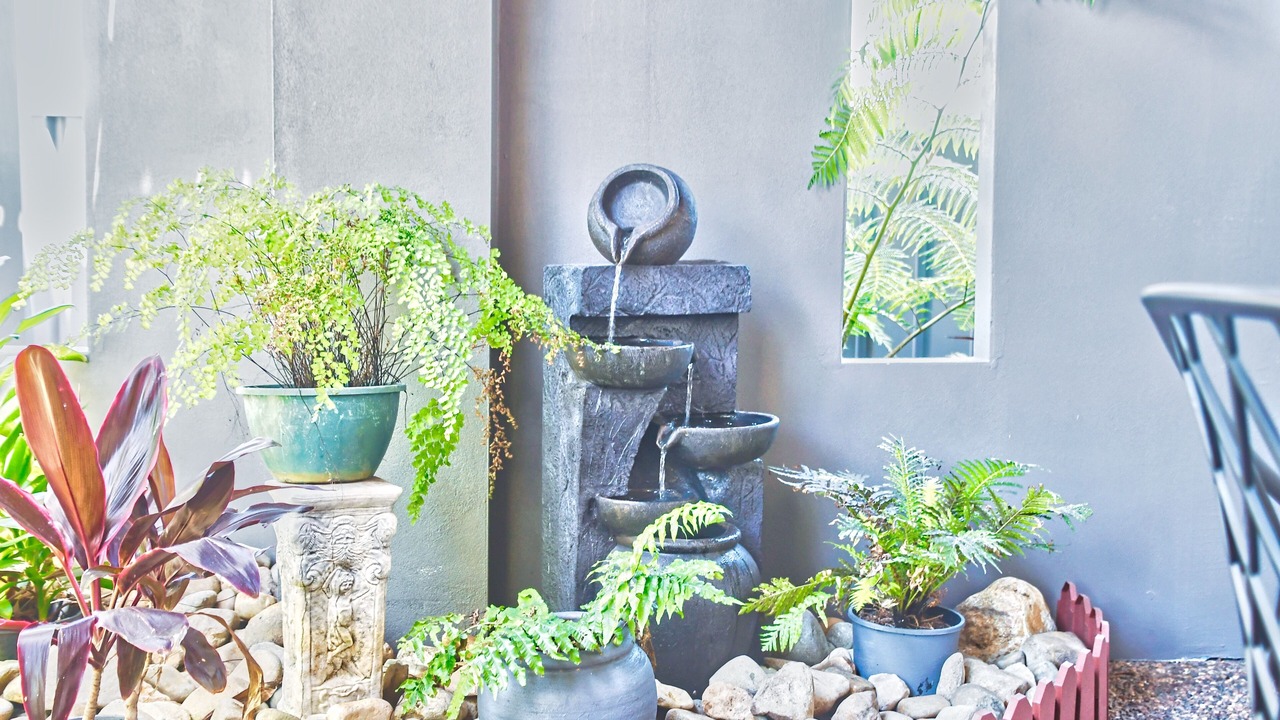 Photo of Outdoor in Berkeley Vale