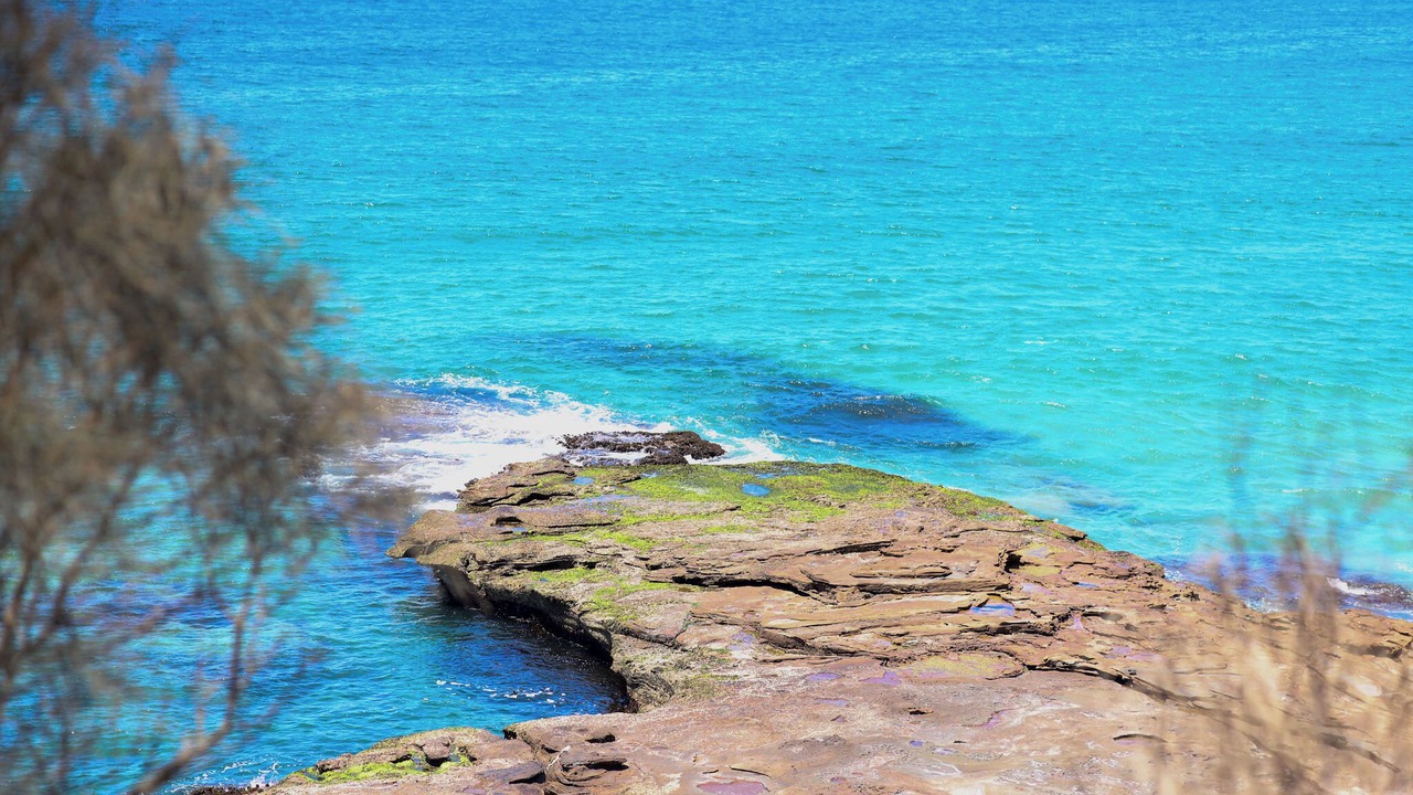 Photo of Others in South Durras