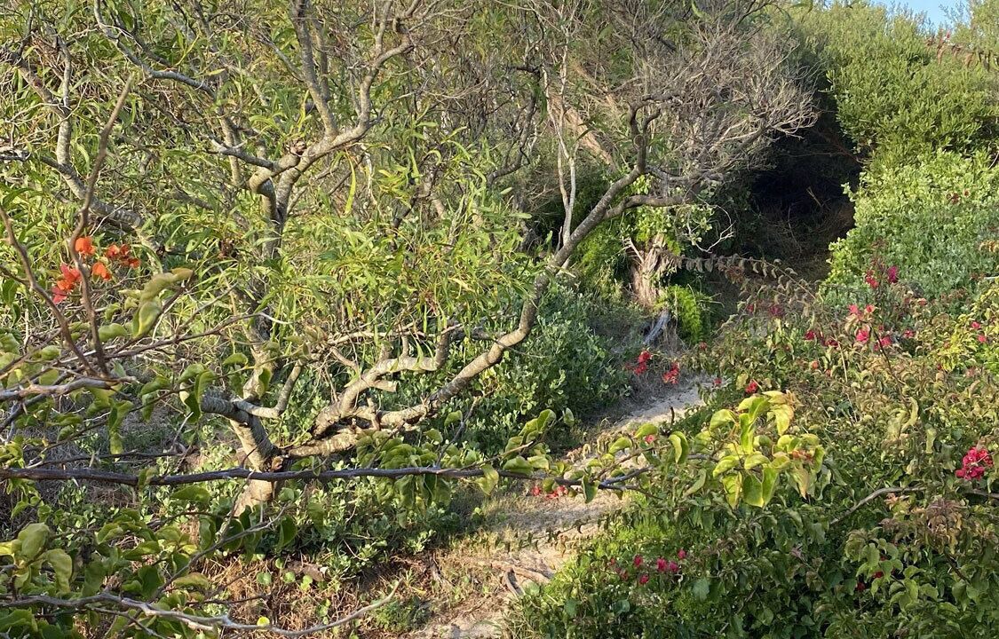 Photo of Others in Central Coast