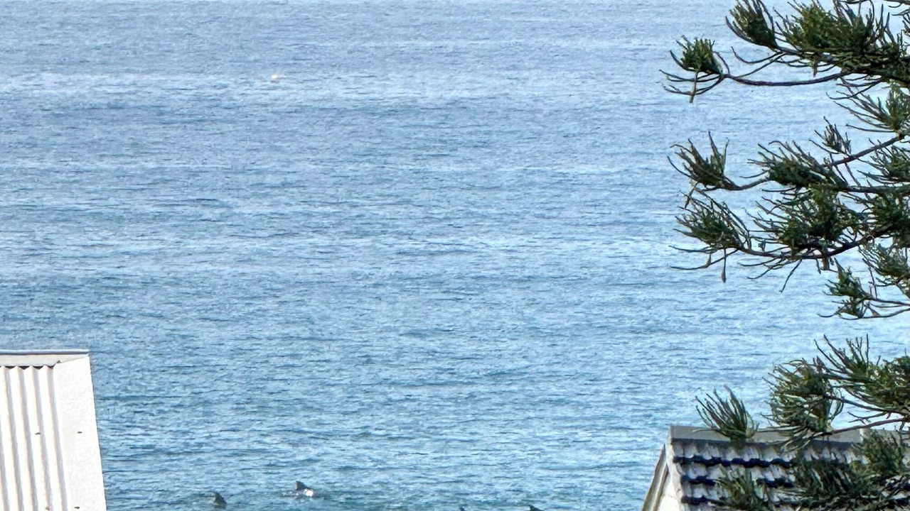 Photo of Others in Central Coast