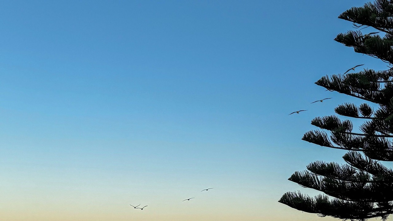 Photo of Others in Central Coast