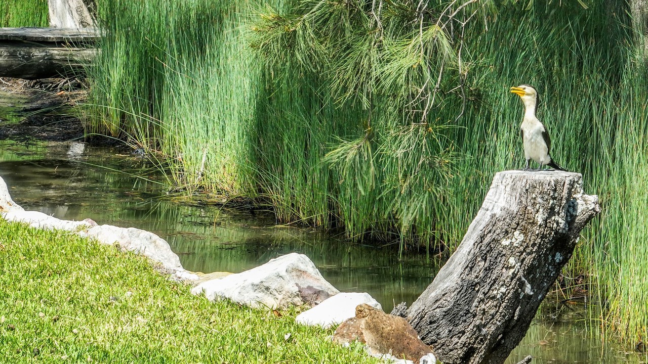 Photo of Others in Lake Conjola