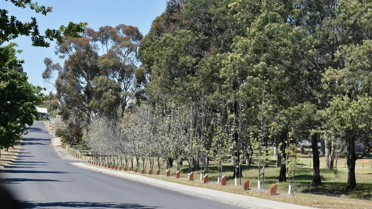 Photo of Others in Nannup