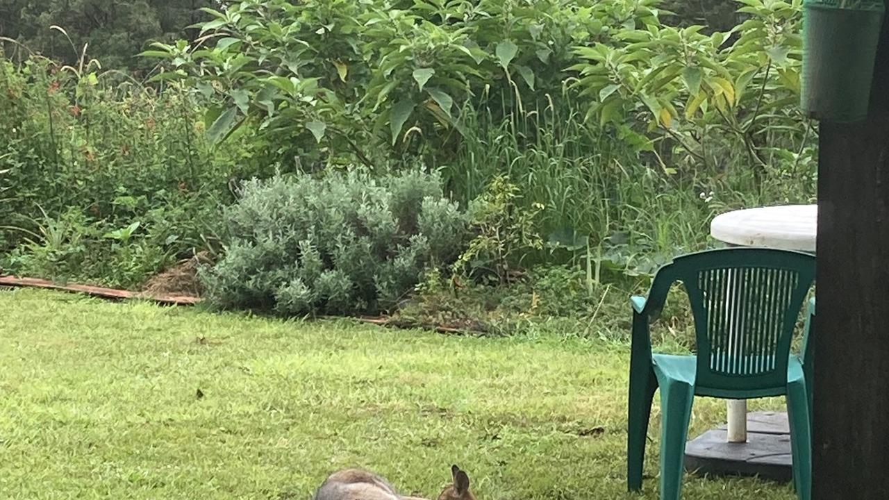 Photo of Outdoor in Lillian Rock
