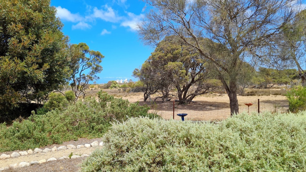 Photo of Outdoor in Dalrymple