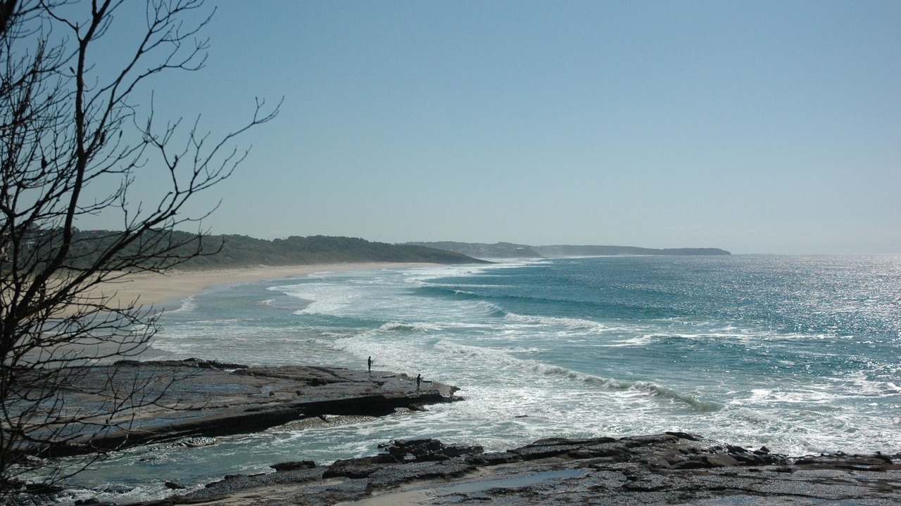 Photo of Others in Burrill Lake