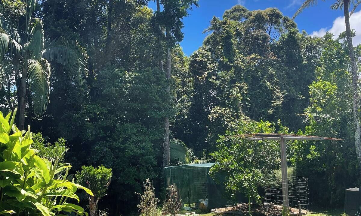 Photo of Others in Eungella
