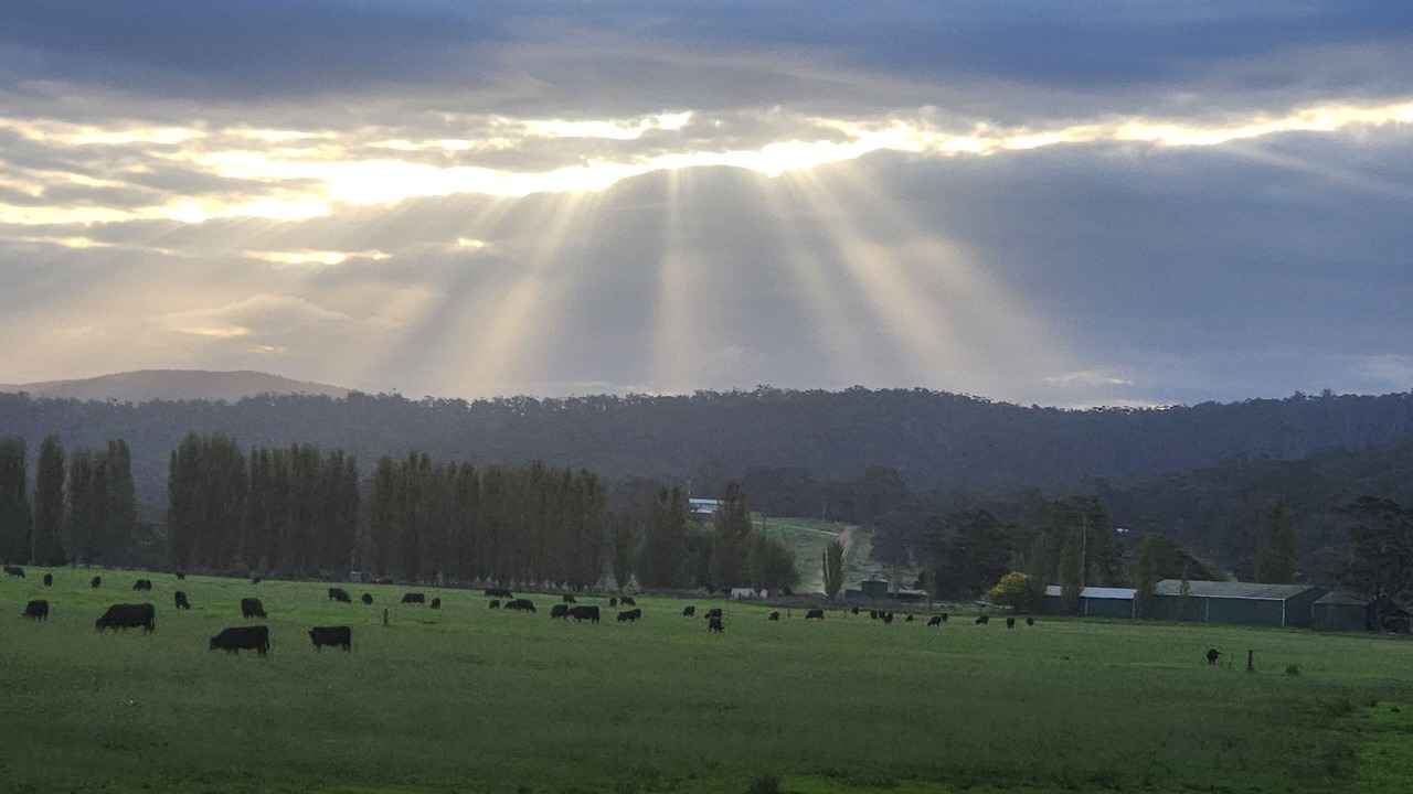 Photo of Others in Pambula