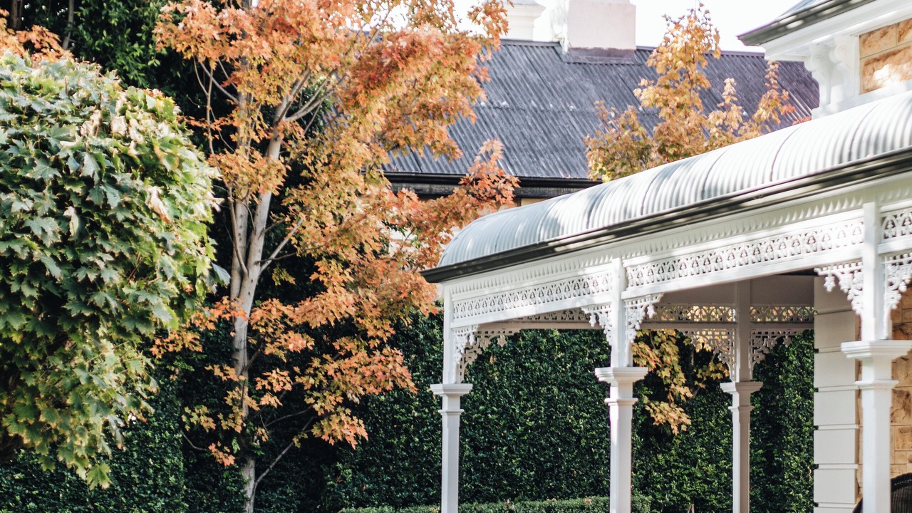 Photo of Outdoor in Unley Park