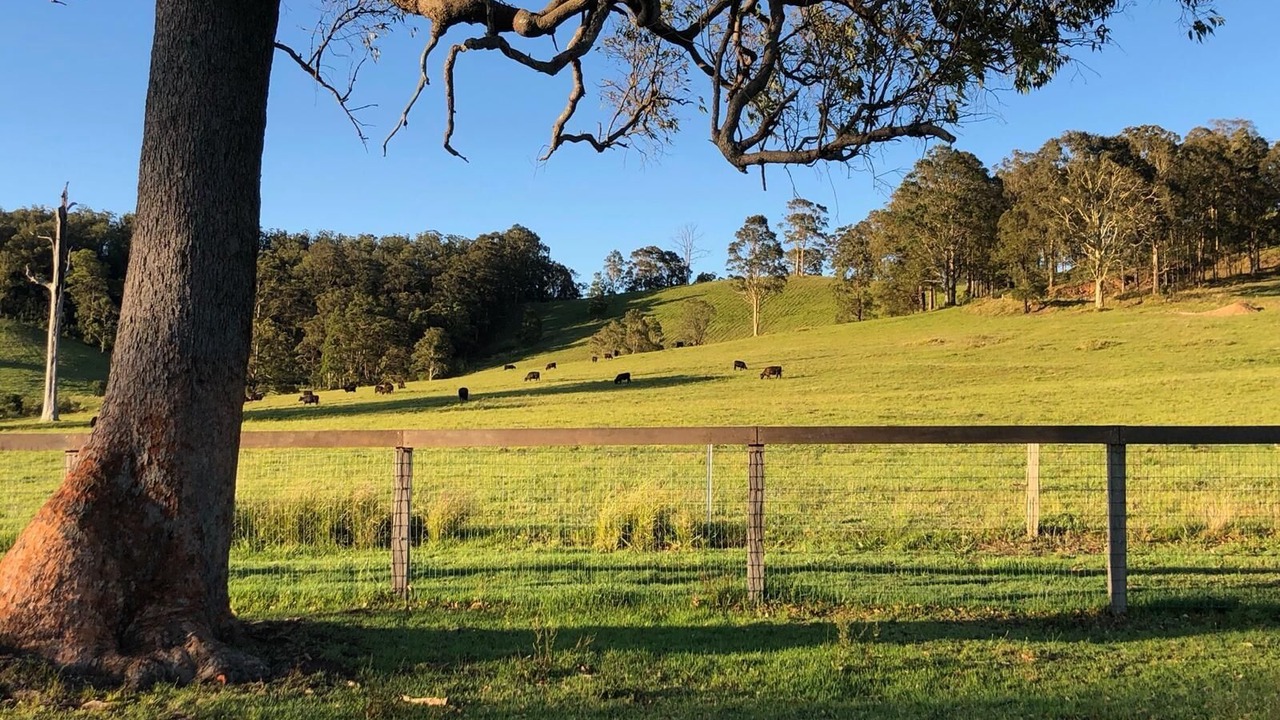 Photo of Others in Minimbah