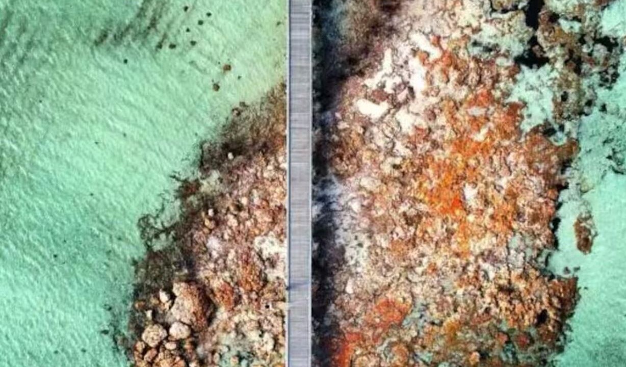 Photo of Others in Moonta Bay