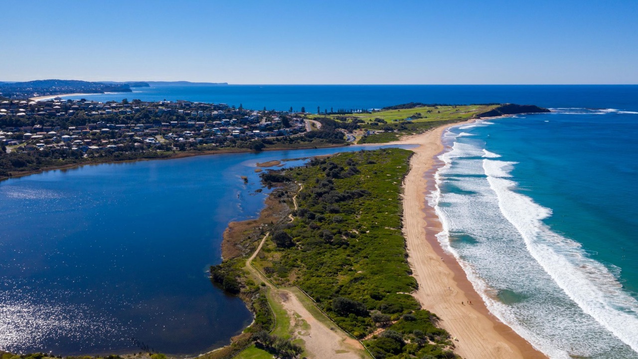 Photo of Others in Dee Why