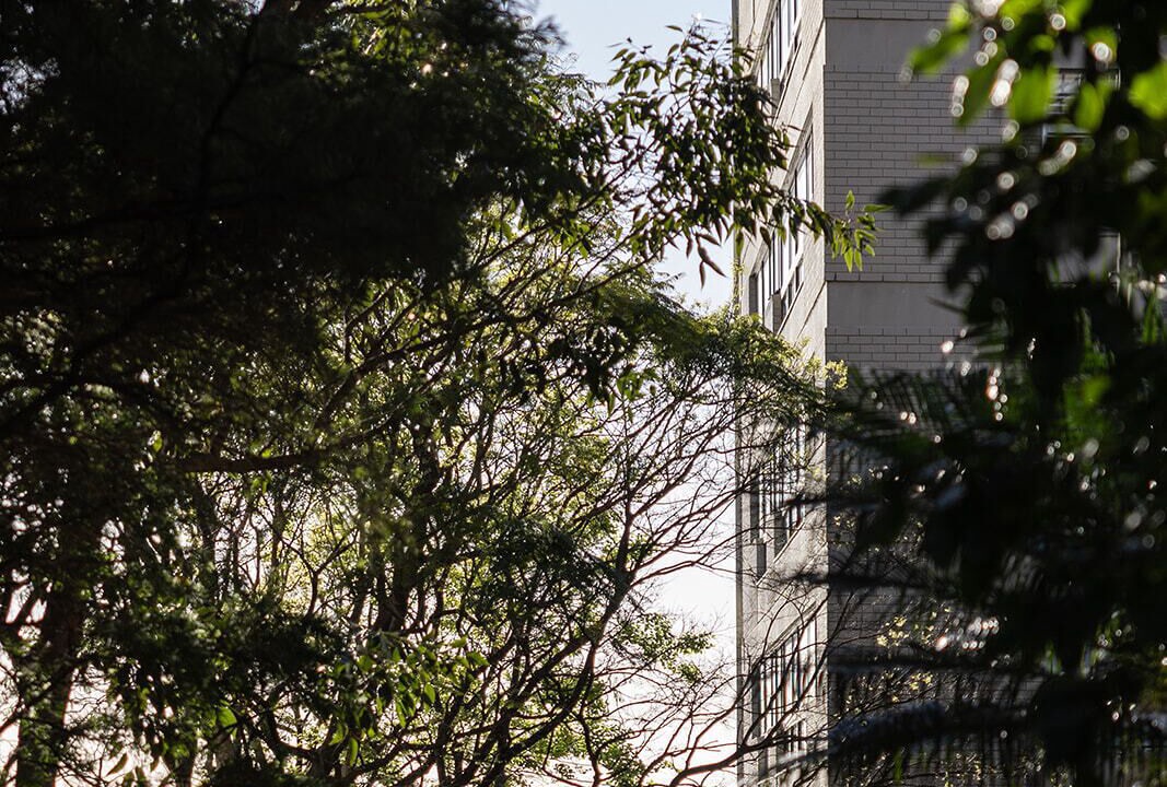 Photo of Others in Potts Point