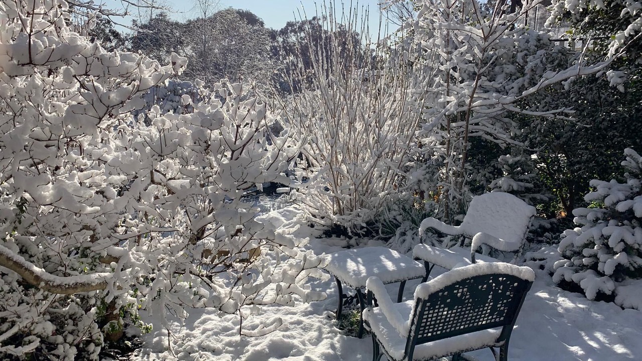 Photo of Outdoor in Mount Victoria