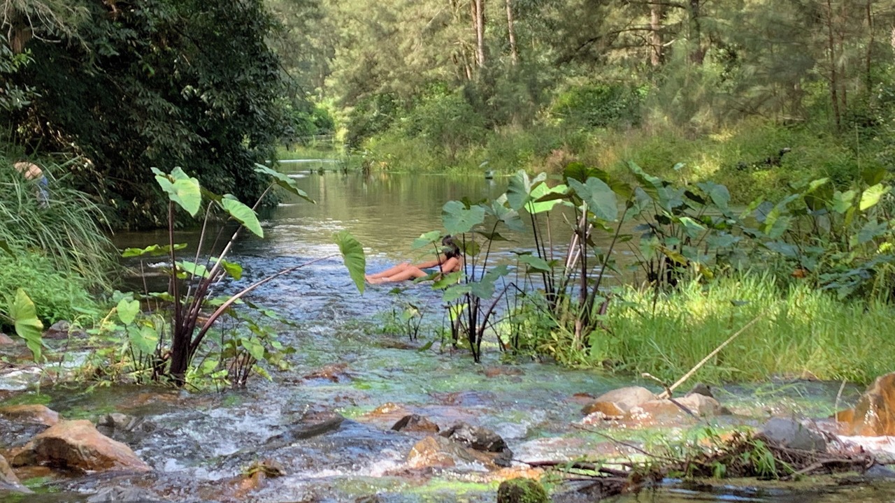 Photo of Others in Thumb Creek