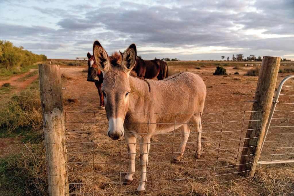 Photo of Others in Tresco