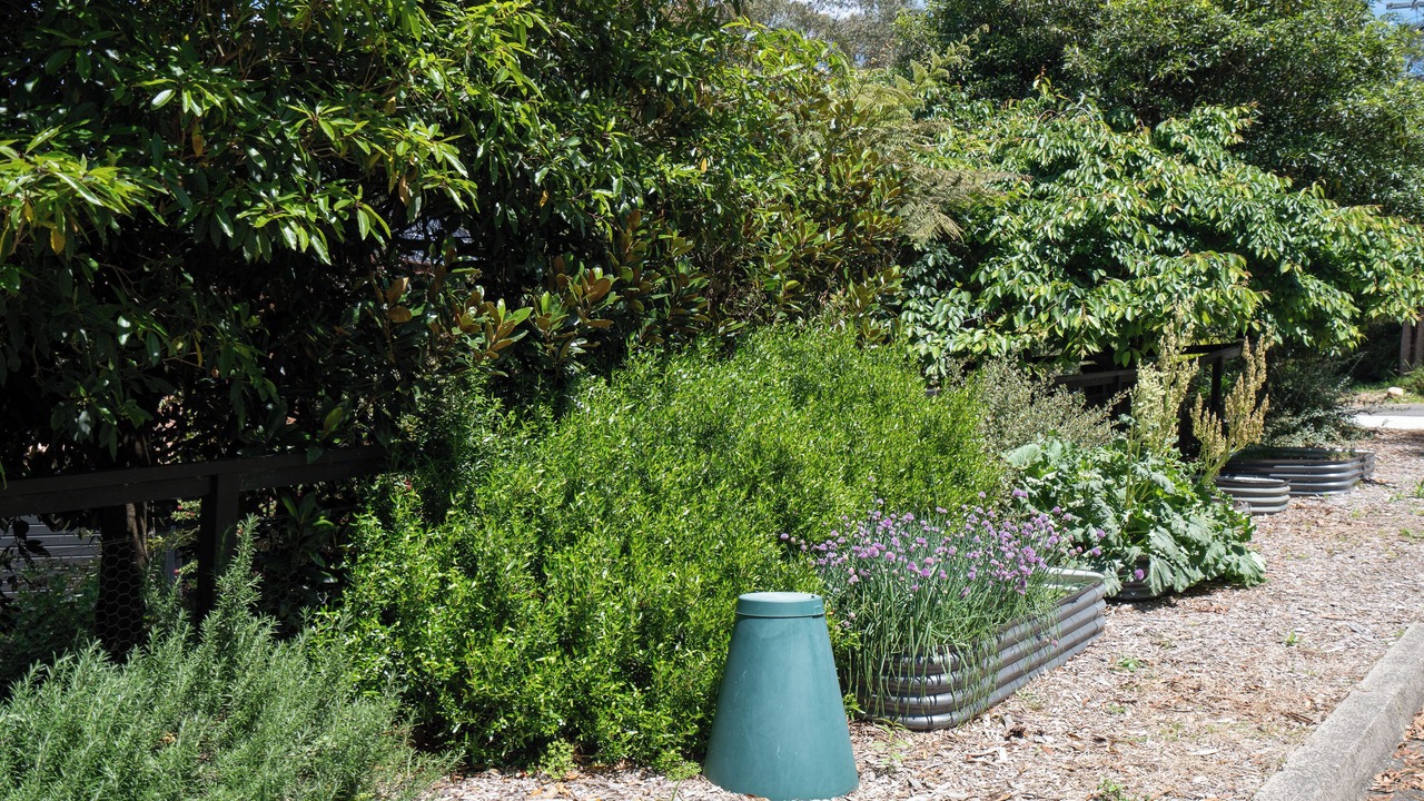 Photo of Outdoor in Mittagong