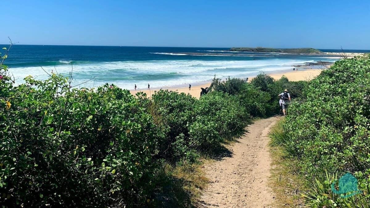 Photo of Others in Catherine Hill Bay