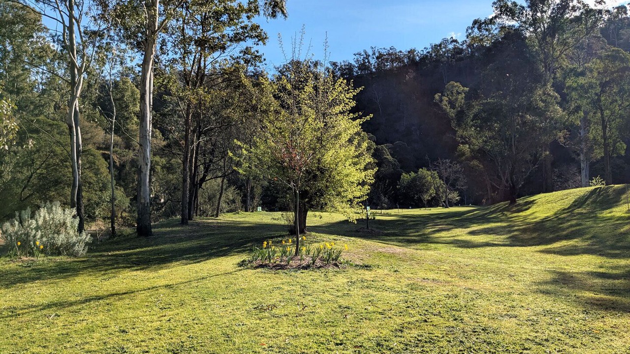 Photo of Outdoor in Dargo
