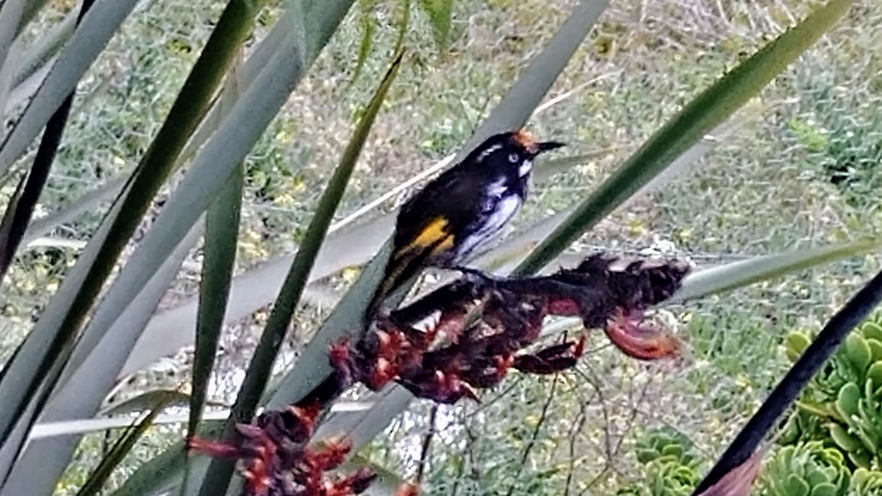 Photo of Outdoor in Sandy Bay