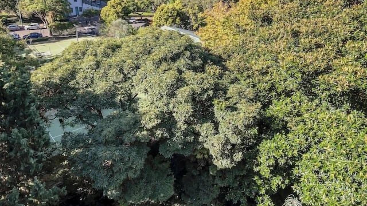 Photo of Outdoor in Rushcutters Bay