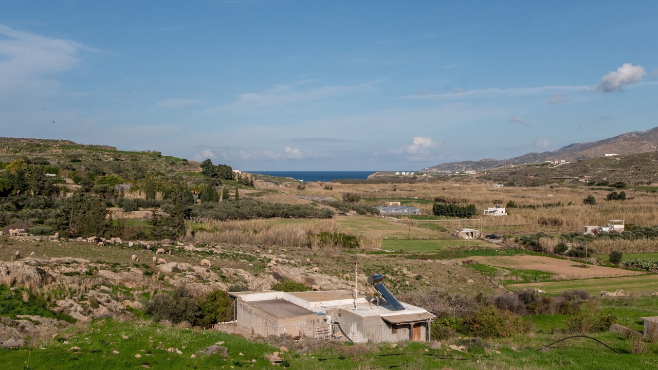 Photo of Others in Galini