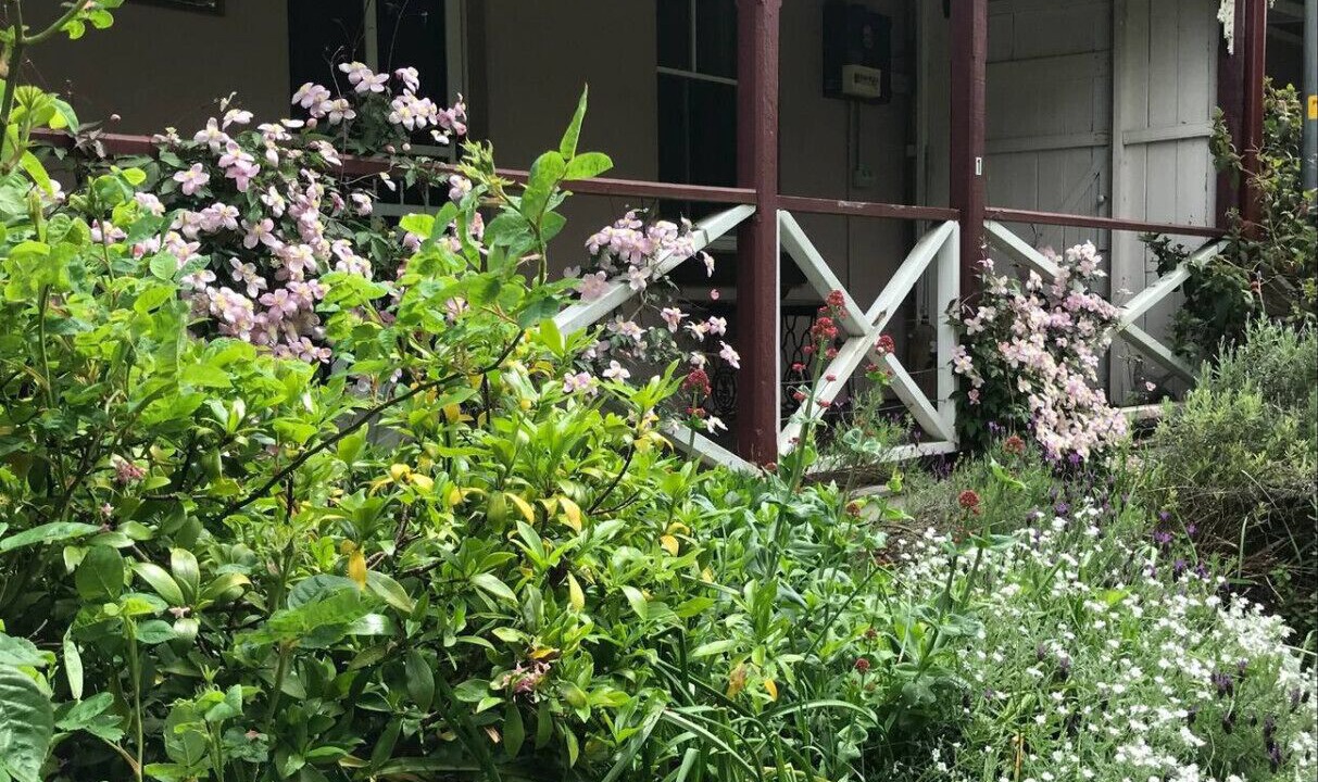 Photo of Outdoor in Mount Victoria