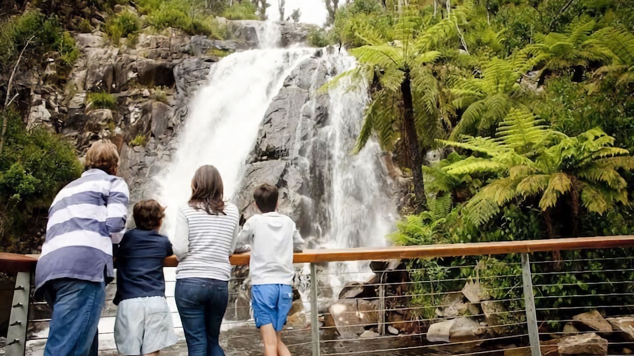 Photo of Others in Ferny Creek