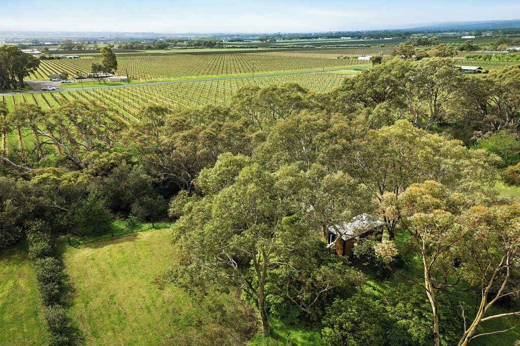 Photo of Outdoor in Willunga South